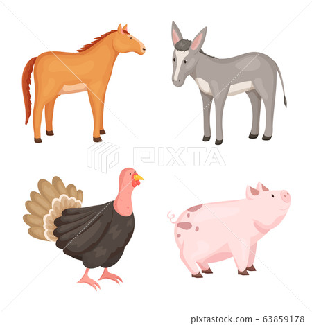 Isolated object of farm and food symbol. Collection of farm and countryside stock symbol for web. 63859178