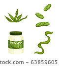 Vector illustration of spirulina and seaweed symbol. Collection of spirulina and vegan vector icon for stock. 63859605