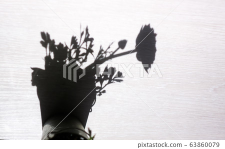 The shadow of one flower, buttercup, roses in a flowerpot on a windowsill. Abstraction, copy space 63860079