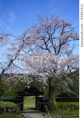 朝倉考古遺址Karamon Light Ink Sakura 朝倉考古遺址Karamon Light Ink Sakura 63861412