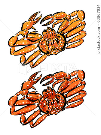 Zwai蟹煮沸之前（頂部）和之後（底部）的矢量圖 63867034