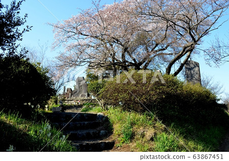 Nogiki Noriyuki, Tadashi Monument (Isehara City, Kanagawa Prefecture) 63867451