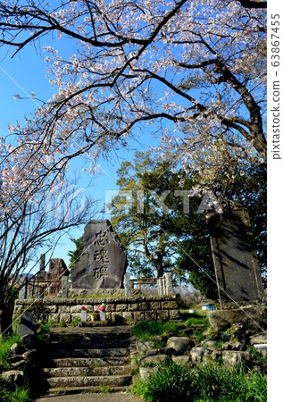 Nogiki Noriyuki, Tadashi Monument (Isehara City, Kanagawa Prefecture) 63867455