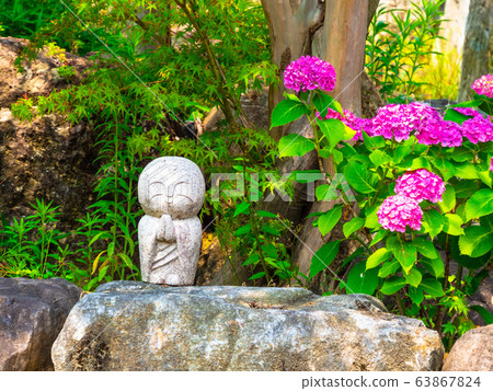 Hydrangea and Jizo at Shojunji Temple Hydrangea and Jizo at Shojunji Temple 63867824