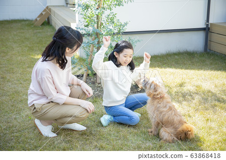 Parent / Child / Garden / Dog / Pet / Dog / Discipline / Play 63868418