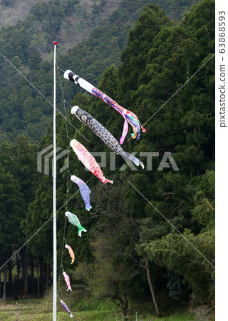 Carp streamer Carp streamer 63868593