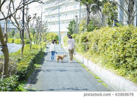 Parent and child dog pet pet dog walk Parent and child dog pet pet dog walk 63868676