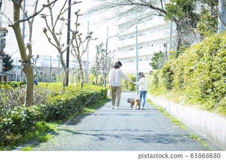 Parent and child dog pet pet dog walk Parent and child dog pet pet dog walk 63868680