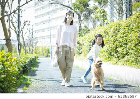Parent and child dog pet pet dog walk 63868687