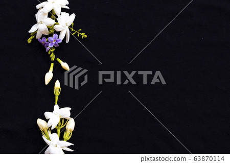 white flowers jasmine local flora of asia in spring season arrangement flat lay postcard style white flowers jasmine local flora of asia in spring season arrangement flat lay postcard style 63870114