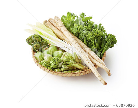 Wild greens (Tarano buds, garbage, butterbur sprout, moisture, rape blossoms, brussels sprouts, new burdock) 63870926