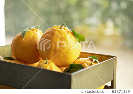 水果，哈拉邦，新鮮 63871329