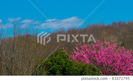 Early Spring Scenery 63872745