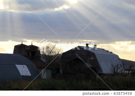 北海道鄂霍次克地區黃昏時的筒倉和牛棚 63873459