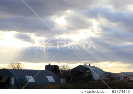 北海道鄂霍次克地區黃昏時的筒倉和牛棚 63873460