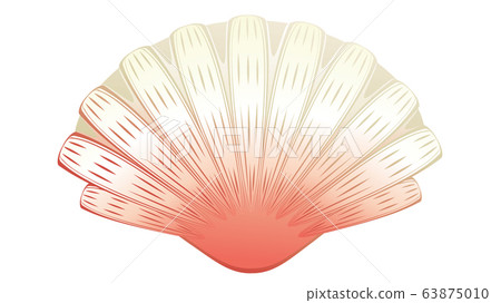 Decorative seashell design Decorative seashell design 63875010