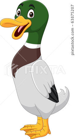 Cute duck cartoon on white background Cute duck cartoon on white background 63875207