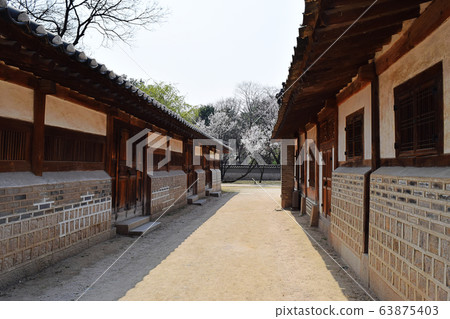 首爾鐘路區昌德宮 首爾鐘路區昌德宮 63875403