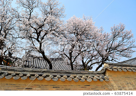 首爾鐘路區昌德宮 首爾鐘路區昌德宮 63875414