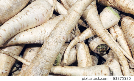 The close up of Fresh Taiwan White Radish Daikon. 63875580