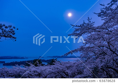 Matsushima Town, Miyagi Prefecture, cherry blossoms in full bloom and Matsu Park in the West, Matsushima Bay in spring, Matsushima Moon 63878628