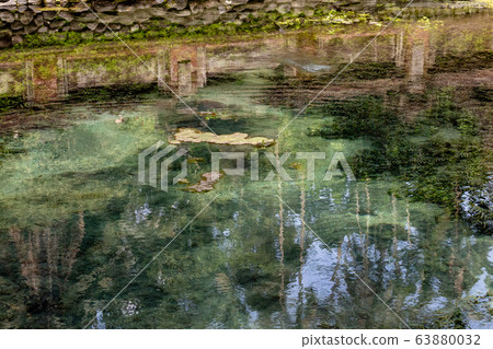 Pure holy water located in Tirta Empul in Bali Pure holy water located in Tirta Empul in Bali 63880032