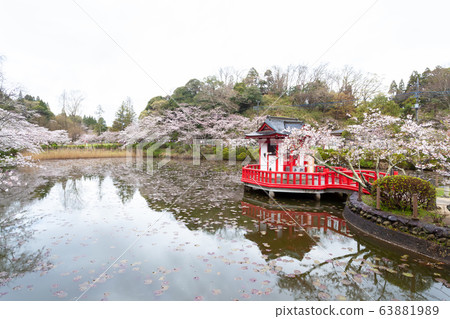 Spring Mobara Park Spring Mobara Park 63881989