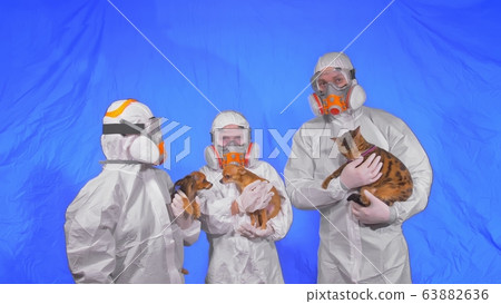 Doctor veterinarian do physical examination and check for animal diseases. Family of scientists health worker with cat and dog. Doctor veterinarian do physical examination and check for animal diseases. Family of scientists health worker with cat and dog. 63882636