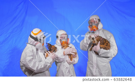 Doctor veterinarian do physical examination and check for animal diseases. Family of scientists health worker with cat and dog. Doctor veterinarian do physical examination and check for animal diseases. Family of scientists health worker with cat and dog. 63882648