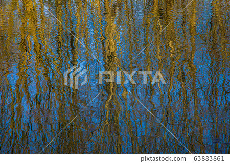 Reflection of trees on the surface of the Little 63883861