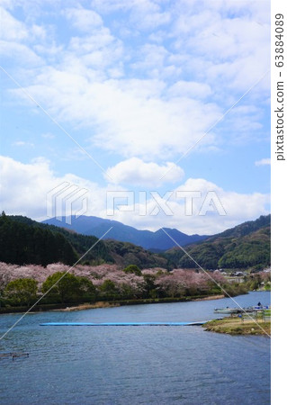 Spring on the shore of Lake Tamagawa 63884089