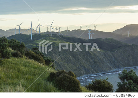 從新西蘭惠靈頓馬卡拉走道山看到的風車 63884960