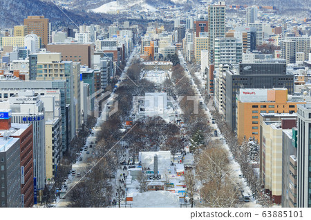 北海道_札幌冰雪節風光 63885101