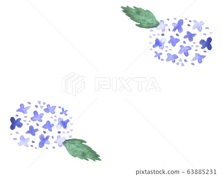 繡球花水彩框架 63885231