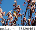 A flower card 63890461