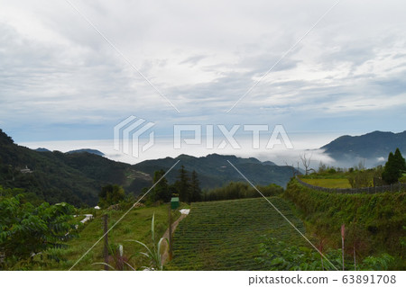 靛藍的藍天，綠樹，白色，茂密的多雲山脈。 63891708