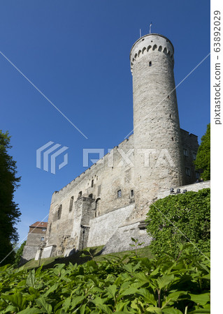 Tall Hermann - a tower of the Toompea Castle on Toompea hill. Tallinn, Estonia 63892029