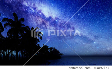 palm trees, sunset and the starry sky 3d rendering palm trees, sunset and the starry sky 3d rendering 63892137
