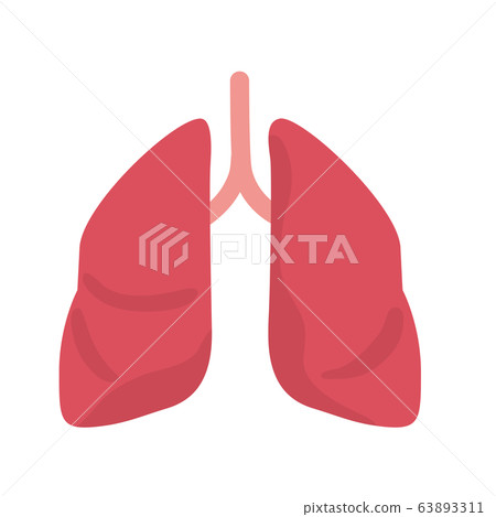 健康的肺部插圖人體 健康的肺部插圖人體 63893311