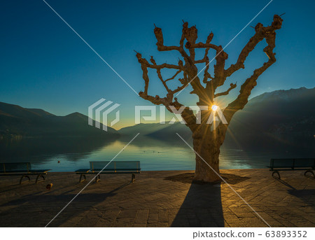 Sunset on promenade of Ascona 63893352