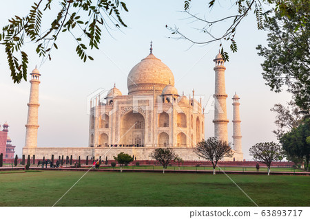Taj Mahal in the park, Agra, Uttar Pradesh, India 63893717