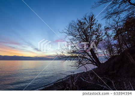 Baltic Sea coast on the island Moen in Denmark 63894394