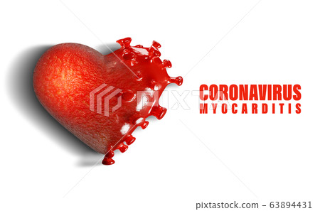 3D render – Concept of healthy and damaged heart by disease called myocarditis or inflammation of the heart muscle caused by Corona virus – Covid-19. Copy space for text, white isolated background. 3D render – Concept of healthy and damaged heart by disease called myocarditis or inflammation of the heart muscle caused by Corona virus – Covid-19. Copy space for text, white isolated background. 63894431