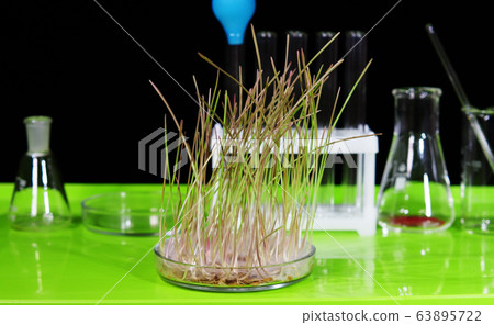 Photo from a biochemical laboratory. Photo from a biochemical laboratory. 63895722