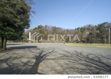 長山公園綜合運動場的櫻花 63896177