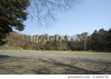 長山公園綜合運動場的櫻花 63896178