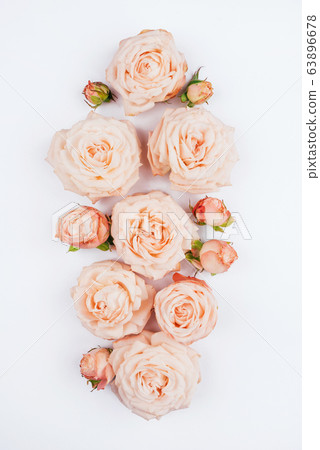 Spring background. Rose flowers on a white background. Spring background. Rose flowers on a white background. 63896678