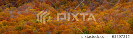 Hiking trail in Autumn , Fukushima Prefecture with Hiking trail in Autumn , Fukushima Prefecture with 63897215