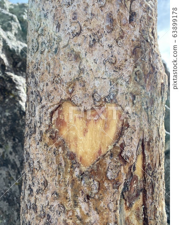 心@落基山 心@落基山 63899178