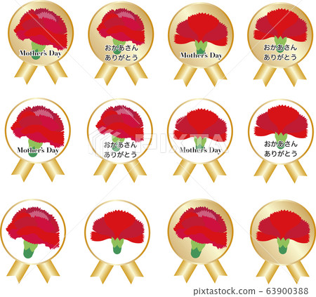 Mother's Day Carnation Message Gift Seal Set 63900388